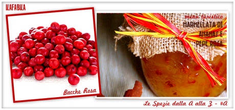 Bacche Rosa - Marmellata di Ananas e Pepe Rosa - Menu Turistico