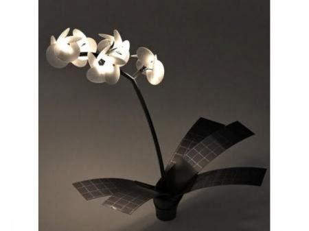L'orchidea che fa Luce