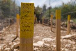 south lebanon-mine clearence site by italian army