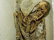 Ritrovato scheletro Nefer, funzionario faraone