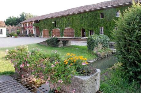 Una giornata all'insegna dei fiori e della primavera a Basiglio domenica 30 marzo!!!