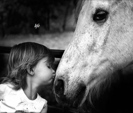 Konrad Lorenz: l'amore per gli animali