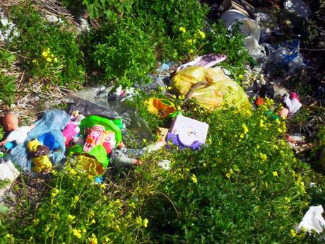 ECOLOGIA: Nasce a Positano l' Associazione Cittadini Volontari per la Pulizia e la salvaguardia ambientale