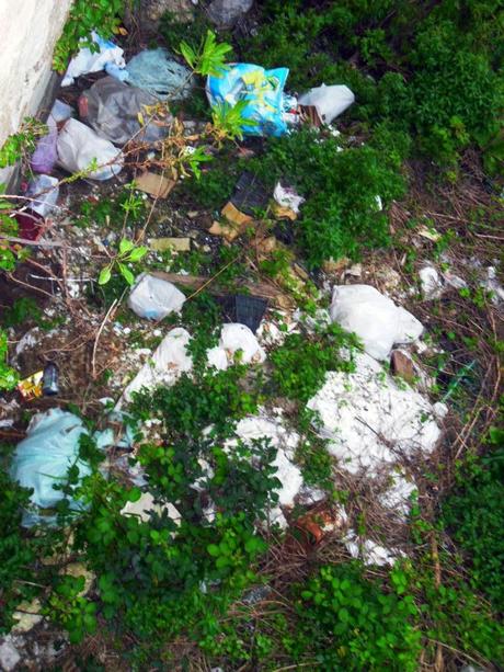 ECOLOGIA: Nasce a Positano l' Associazione Cittadini Volontari per la Pulizia e la salvaguardia ambientale