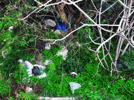 ECOLOGIA: Nasce a Positano l' Associazione Cittadini Volontari per la Pulizia e la salvaguardia ambientale