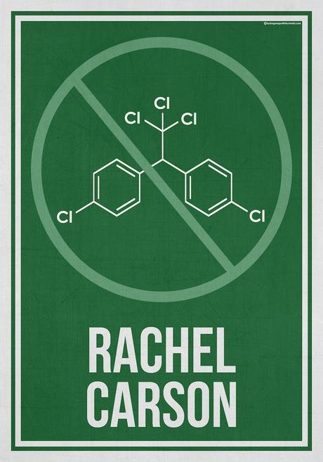 rachel carson 