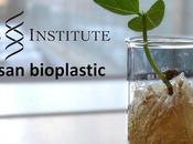 Nuova bioplastica degradabile tempi record