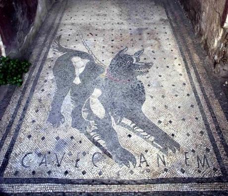 cave canem