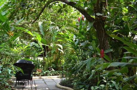 Butterflies Garden Restaurant, Siem Reap (Cambodia)