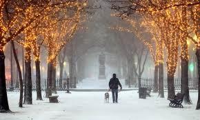 La bellezza del racconto scritto sulla neve