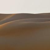 Nel deserto di Rub Al-Khali ad Abu Dhabi