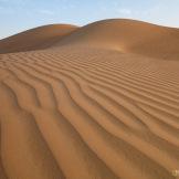 Nel deserto di Rub Al-Khali ad Abu Dhabi