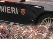 Siracusa: rubano chili rame all’interno dell’Isab Energy, colti fatto carabinieri