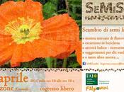 SeMiScambi, seconda edizione