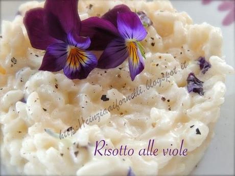 risotto con violette di campo