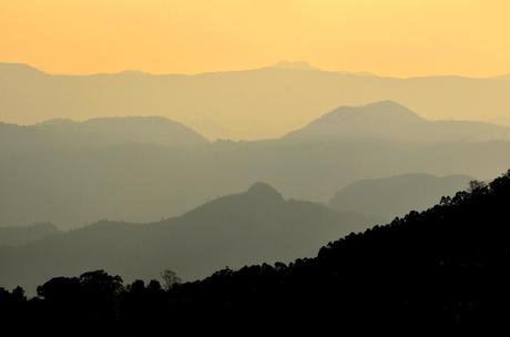 Nelle Terre del Tè: Darjeeling vs Munnar