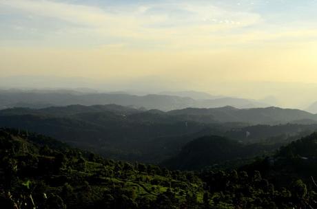 Nelle Terre del Tè: Darjeeling vs Munnar