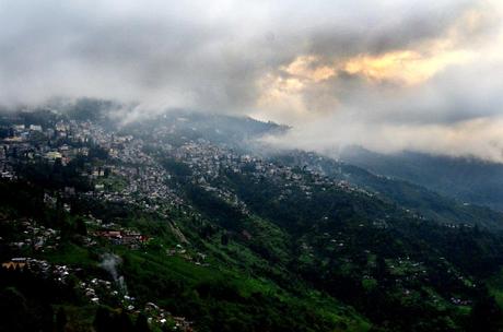 Nelle Terre del Tè: Darjeeling vs Munnar