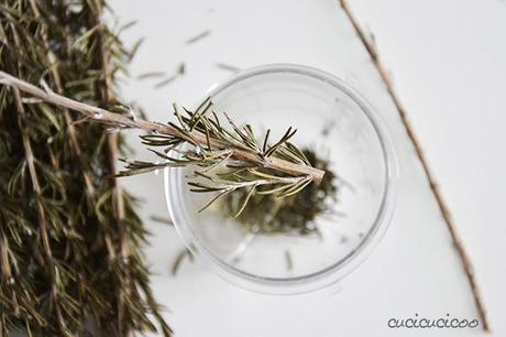 How to make Lemon Rosemary flavored salt: an easy recipe