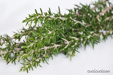 How to make Lemon Rosemary flavored salt: an easy recipe