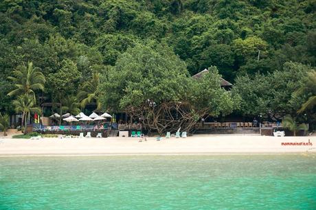 Koh Samet in allegra compagnia