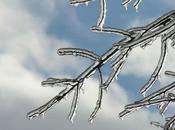 riscaldamento globale potrebbe portare glaciazione. Ecco perché #clima scherza