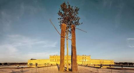 Land Art a Palazzo (arte povera per giardini ricchi - Giuseppe Penone alla reggia di Versailles)