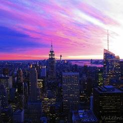Cinque giorni a New York: un sogno che si realizza
