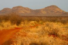 Madikwe Nature Reserve