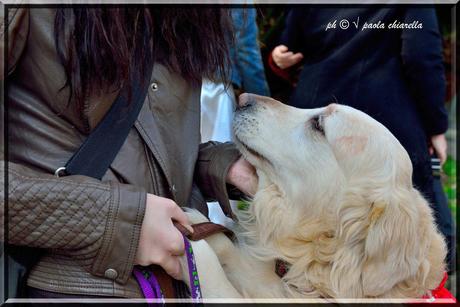 Pin Up for Dogs a Genova by L'Amour Burlesque con Sophie Lamour