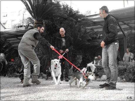 gentleman e dogs Pin Up for Dogs a Genova by L'Amour Burlesque con Sophie Lamour