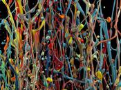 Martin Klimas: ribollire colori Pollock cimatica