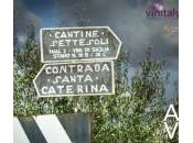 Cantine Settesoli aspetta Vinitaly 2014