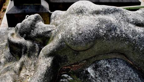 Monumento Maria Beruccini, Reparto IX «Non dire ad alcuno perché sono morta» recita un'epigrafe sul fianco. Numerose sono le leggende legate a questa tomba, tra cui quella che vuole che la giovane donna sia morta suicida per amore all'età di 24 anni. Maria si è portata nell'aldilà il suo segreto, ma la bellezza e l'erotismo del suo corpo esanime continuano ad ammaliare gli osservatori furtivi di questa splendida scultura nascosta tra il verde dei viali alberati.