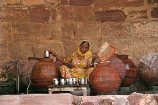 The a Mehrangarh Fort