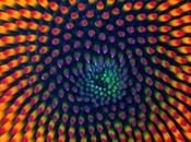 Ching Diario Bordo Commenti Interessanti 02.6