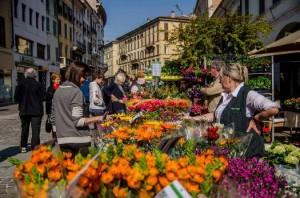 LR_20130414_brixia_florum_5