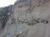 FOTO: Amianto nella sabbia Foce Varano