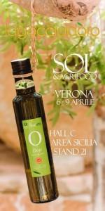 Invito Sol di Verona 06-09 Aprile 2014