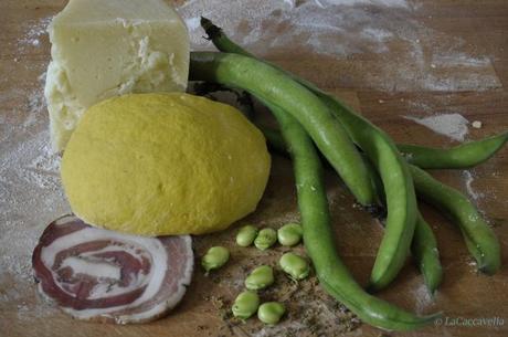 fave, pecorino, pancetta, impasto tagliatelle, cheese, vicia faba, beans