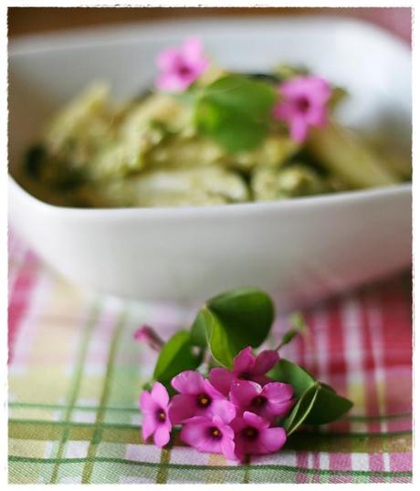 Penne con crema di zucchine all'acetosella, tonno e olive5