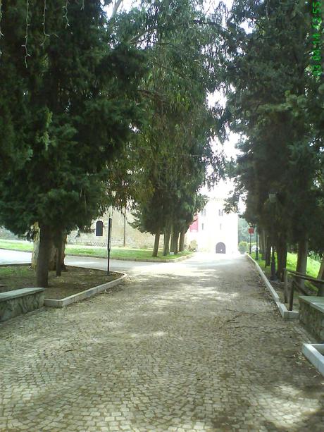 Una mattina a Norma e all'Abbazia di Valvisciolo (Lt)