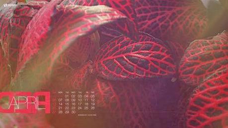 22 wallpaper con il calendario di Aprile 2014