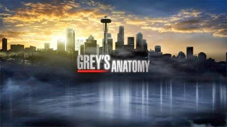 Grey's Anatomy 10x17 Do you know?
