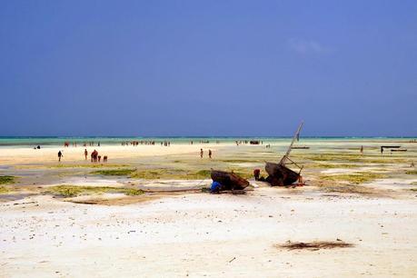 ZANZIBAR love.