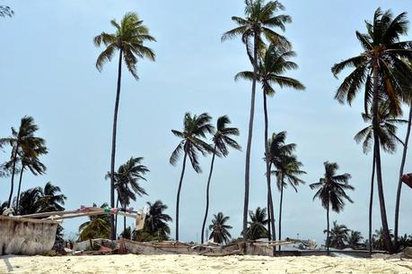 ZANZIBAR love.