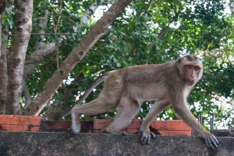 A Phnom Sampeau, tra i templi e le killing caves