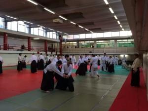 aikido_seminario_shimizu