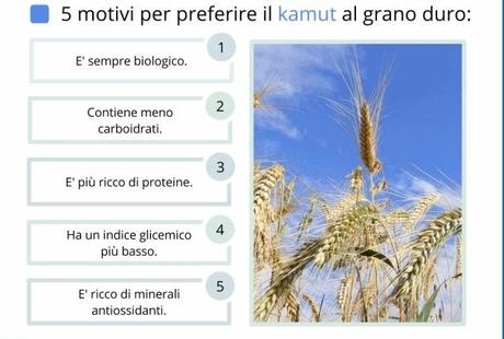 Il Kamut - Proprietà e Benefici