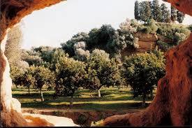 Agrigento: Pasquetta al Giardino della Kolymbethra